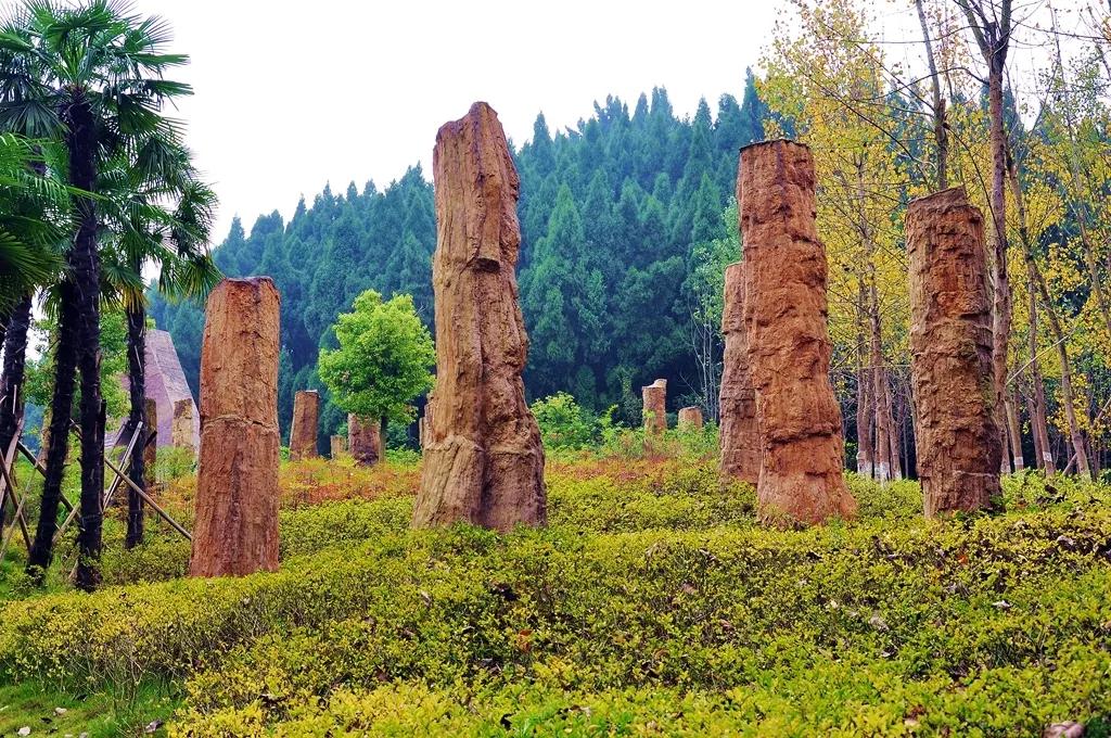 这里是遂宁,射洪介绍