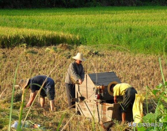 国庆小长假，出去浪不如回老家收庄稼，儿时这5种农活你做过哪些