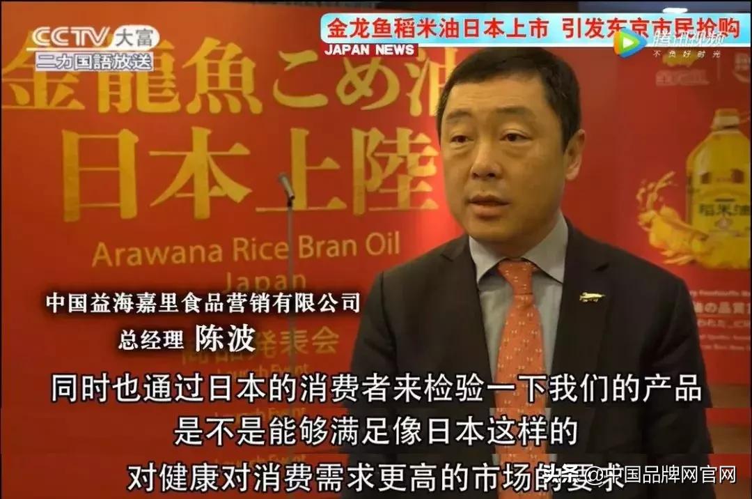 稻米油金龙鱼现状,稻米油金龙鱼