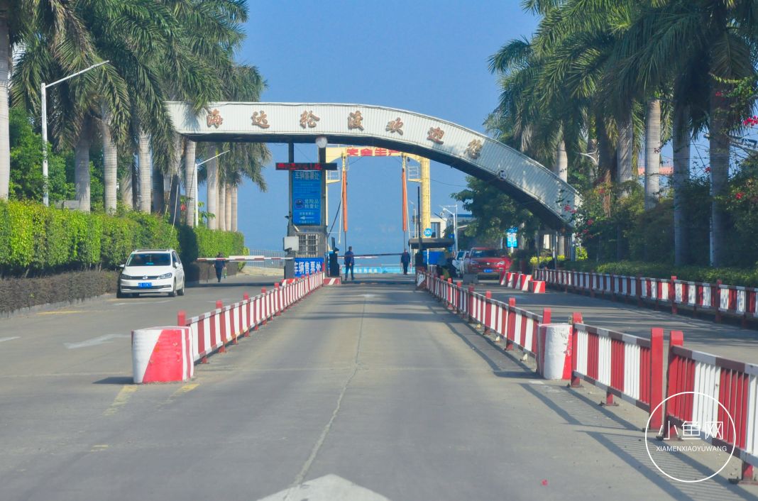 鬼城or未来可期？我们走进漳州港，发现“接盘侠”的各种悲喜交加