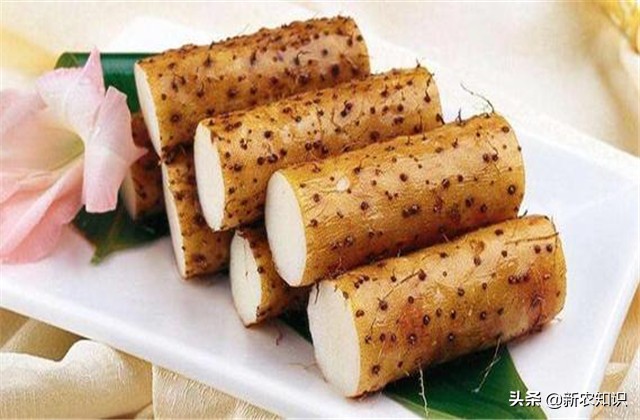 广西桂平最高产淮山种植方法,淮山怎样种植才高产