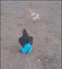 真正的*男猛**擅长挨打