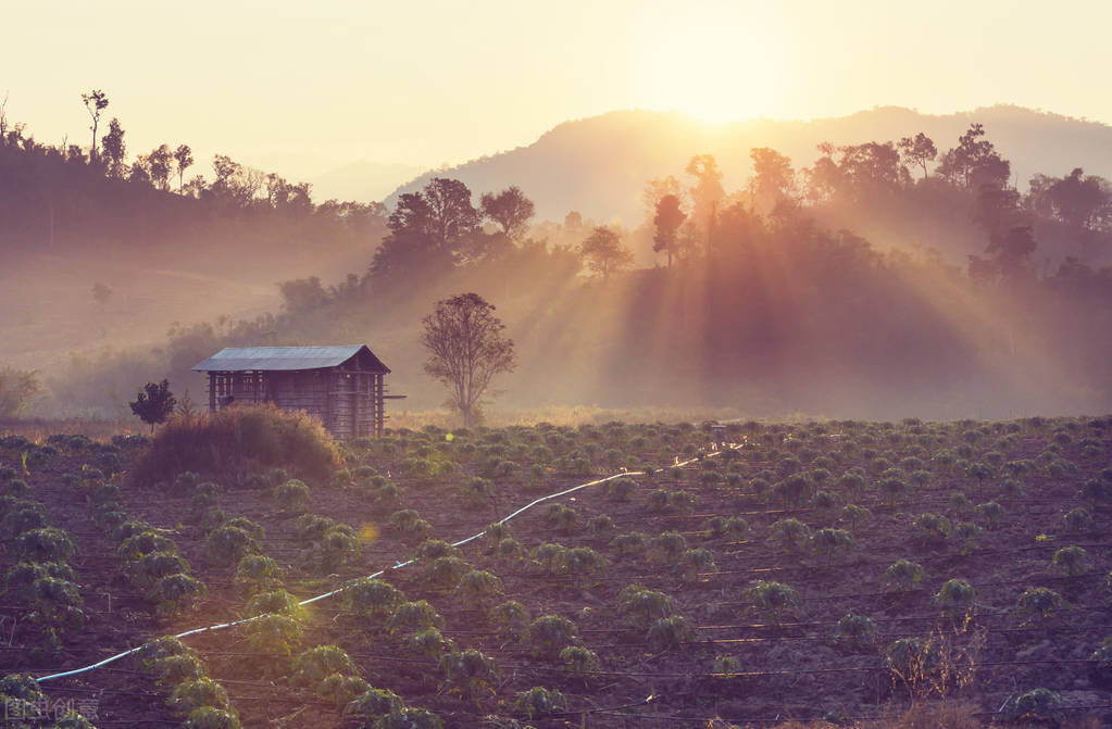 如何努力才能变得更厉害的答案