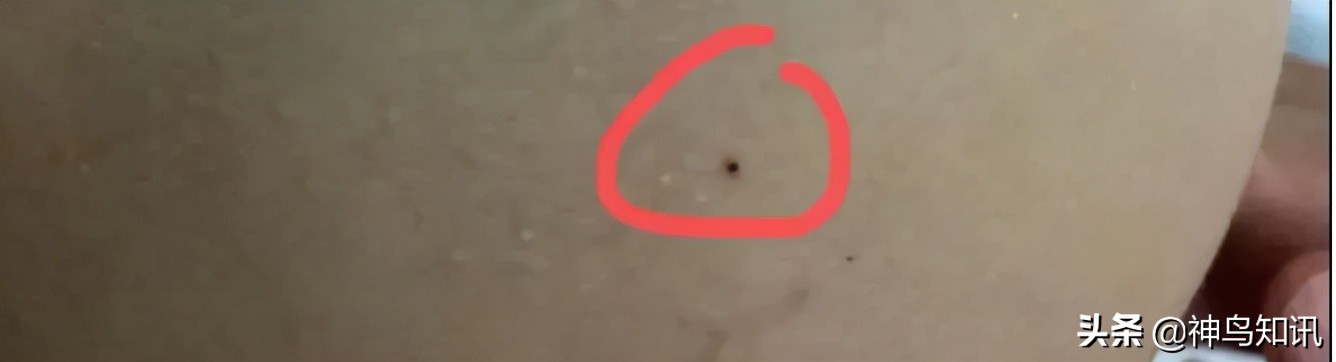 红黄蓝幼儿园又出事了,红黄蓝幼儿园虐待儿童事件责任