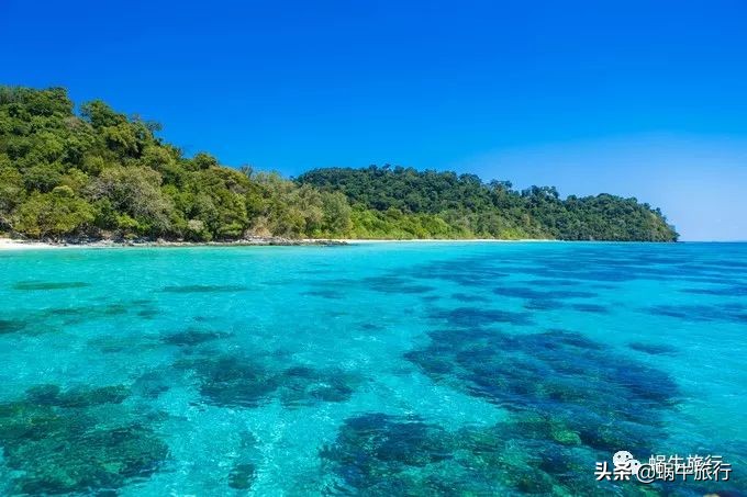 巨蜥像退休大爷休闲漫步；满海的活珊瑚、海葵…国家公园开岛啦