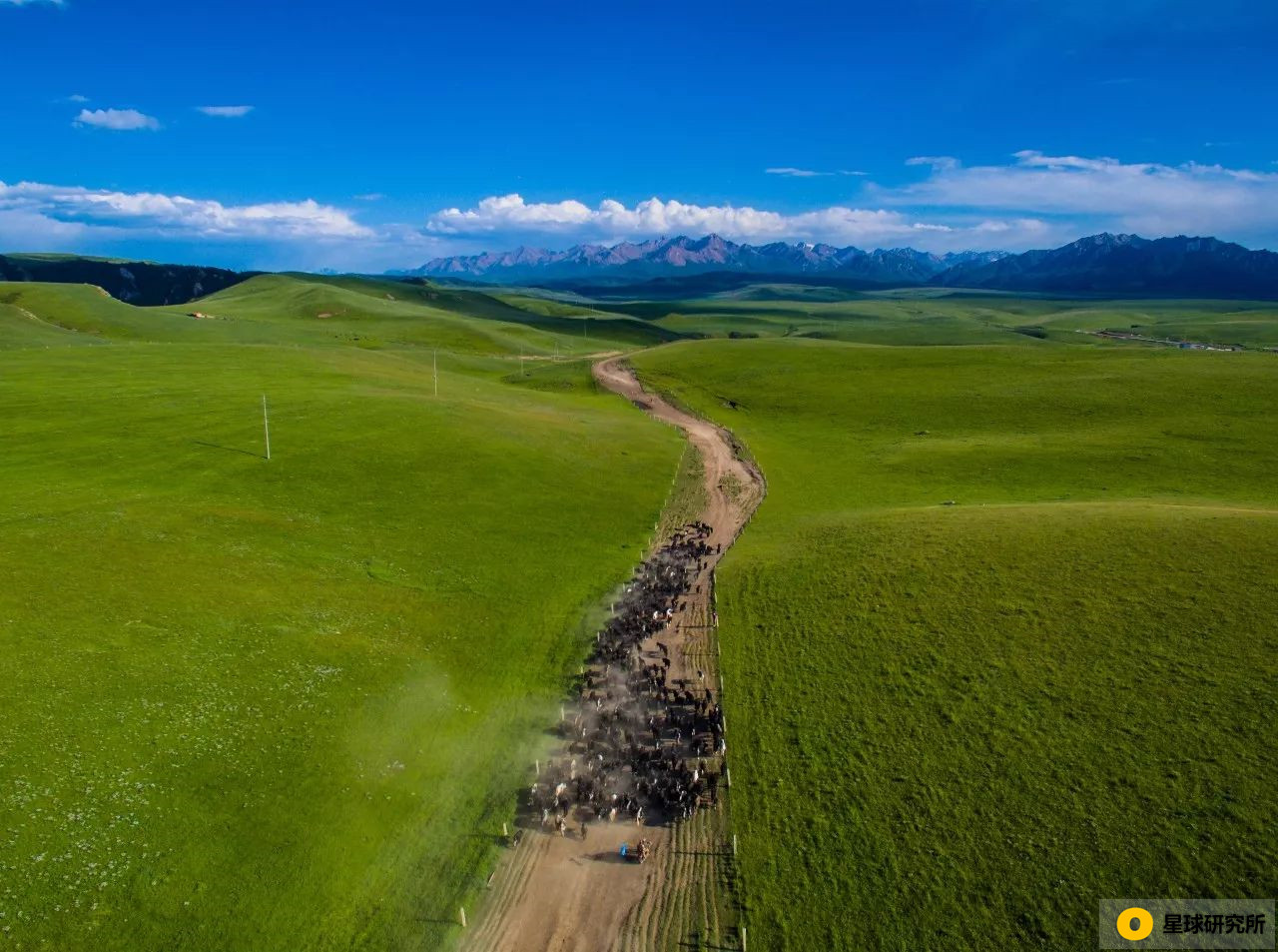 甘肃荒凉风景视频,甘肃荒凉的美景
