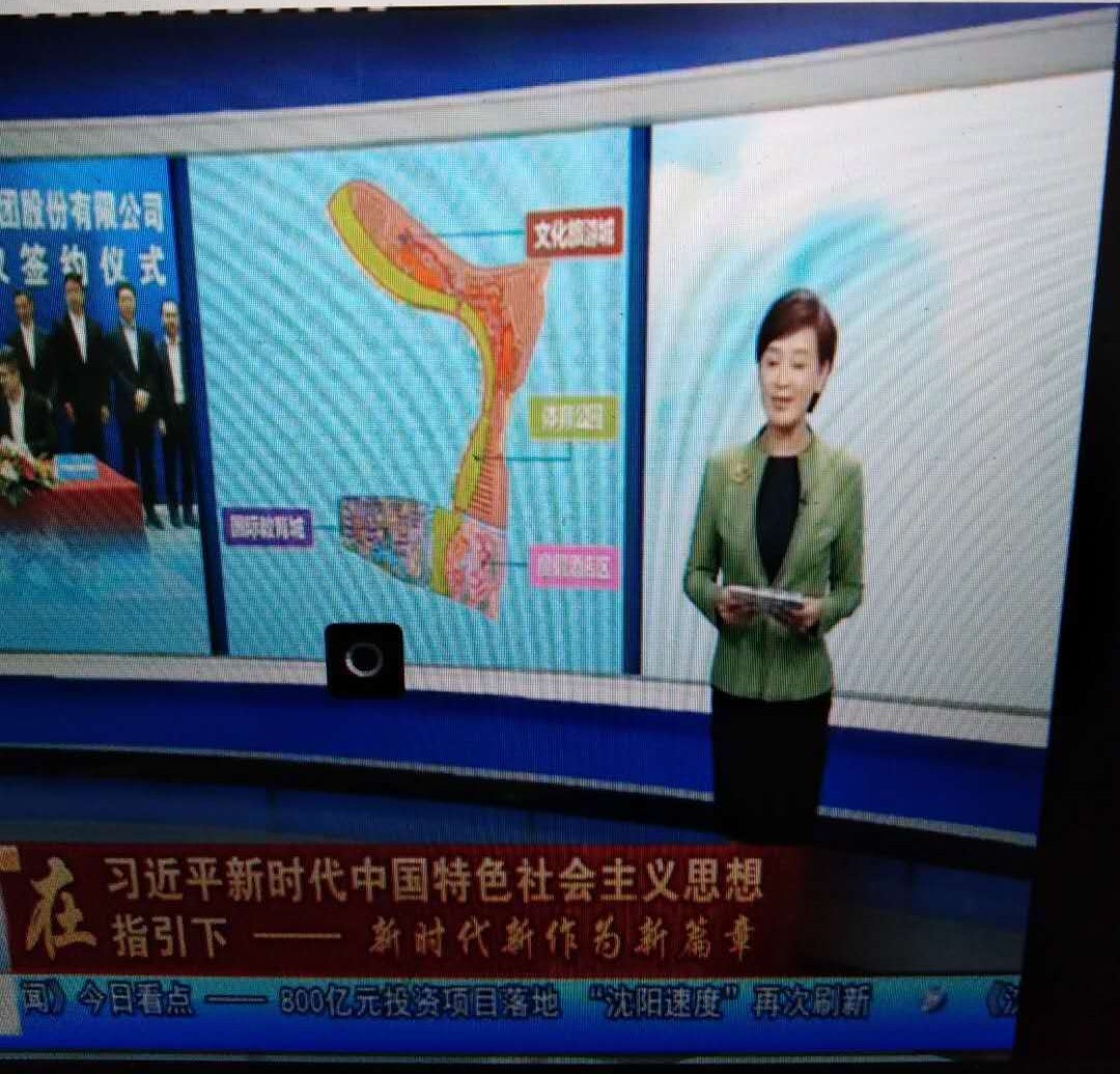 万达文旅城2期规划图,万达文旅城前景