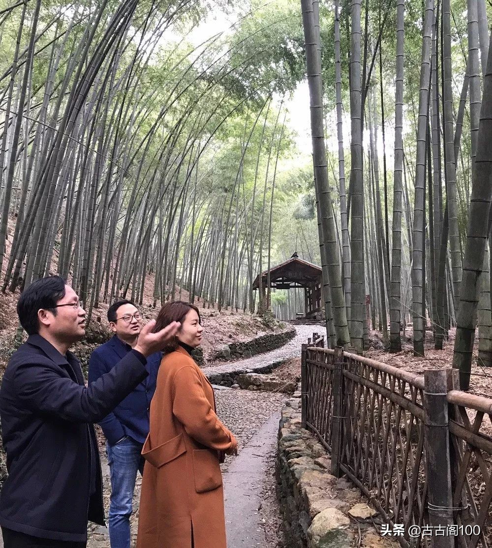 萧绍古道在哪里,萧绍古道古纤道