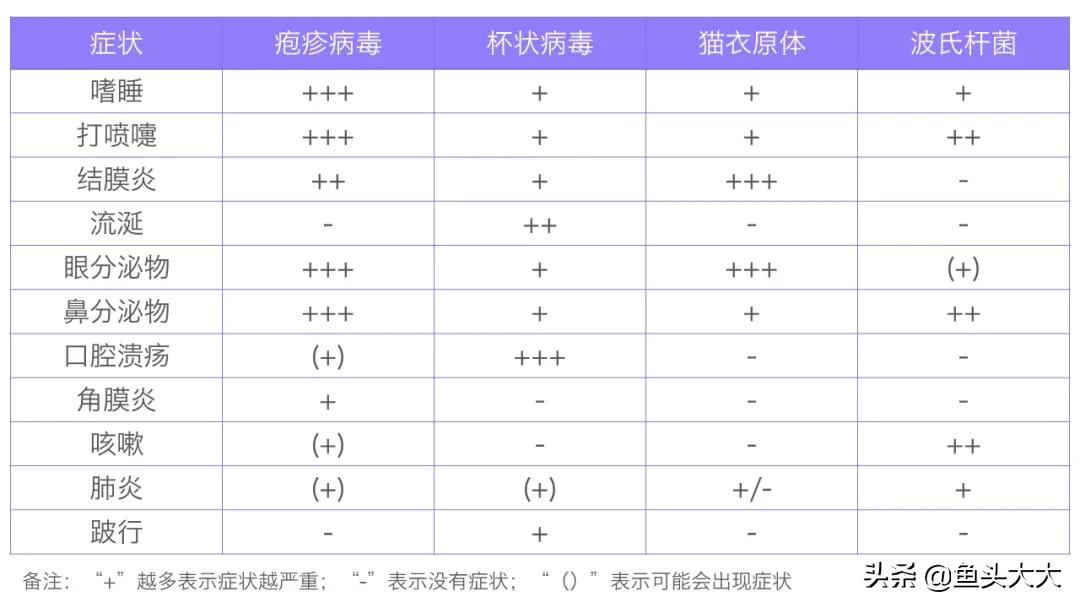 疱疹病毒杯状病毒怎么消毒,怎么分辨杯状病毒