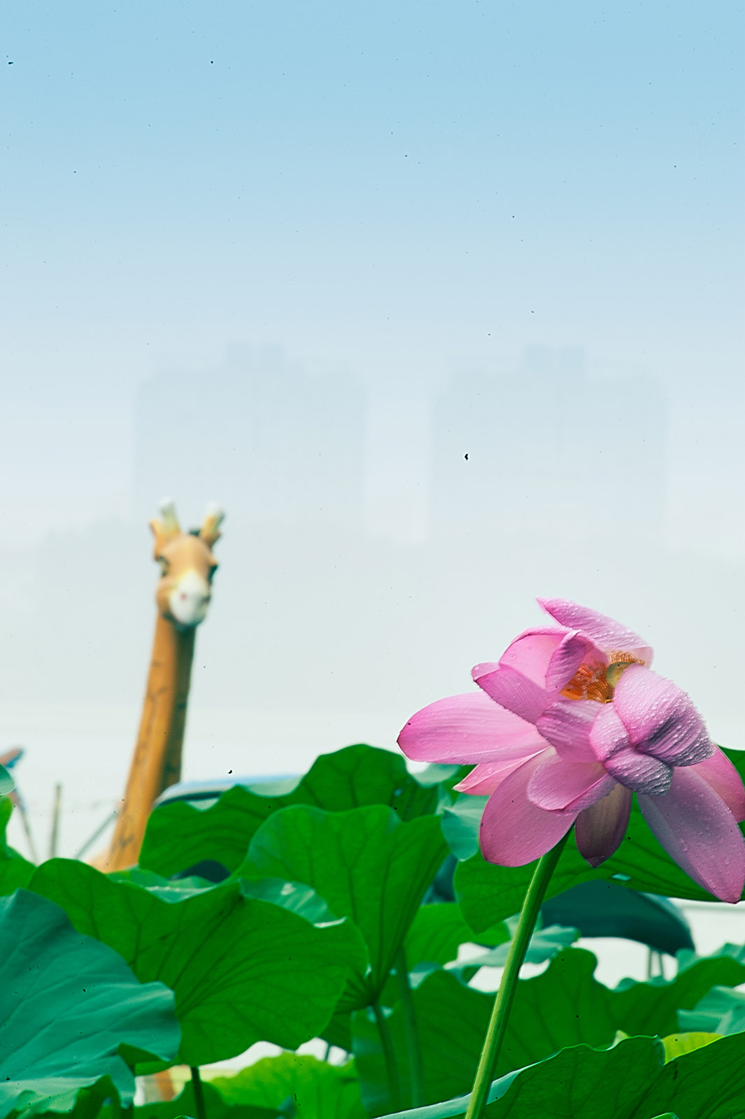 关于二手（这是个沉重而有趣的话题）