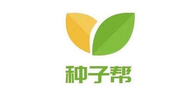 紫云英花色淡紫,看起来不仅仅是漂亮,更重要的是它有很多的作用