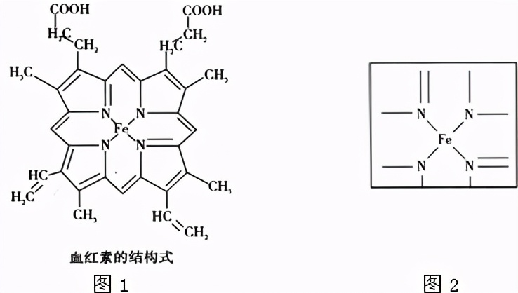 长刺的蘑菇能吃吗,14种毒蘑菇千万别吃