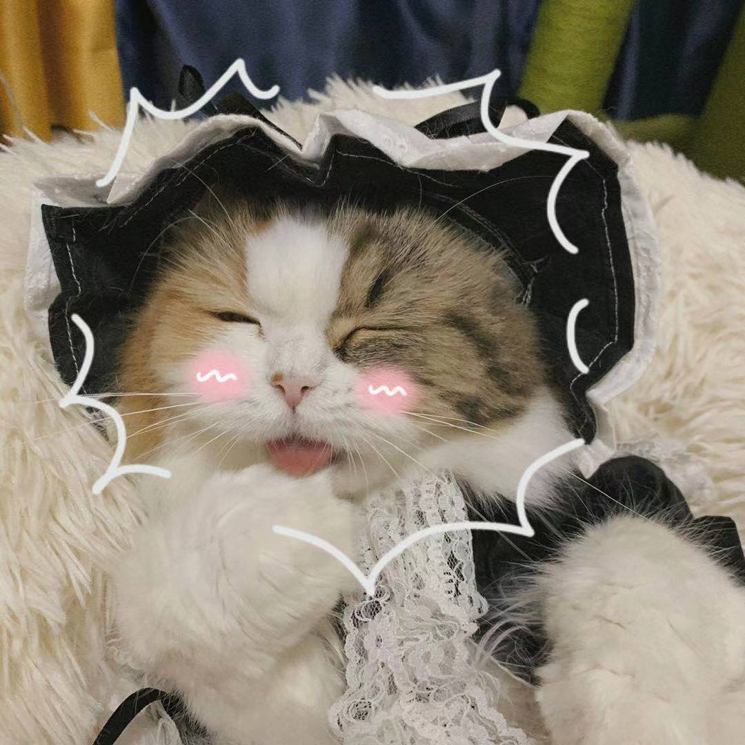 520送对象礼物攻略,520节日的时候送什么礼物最好情侣