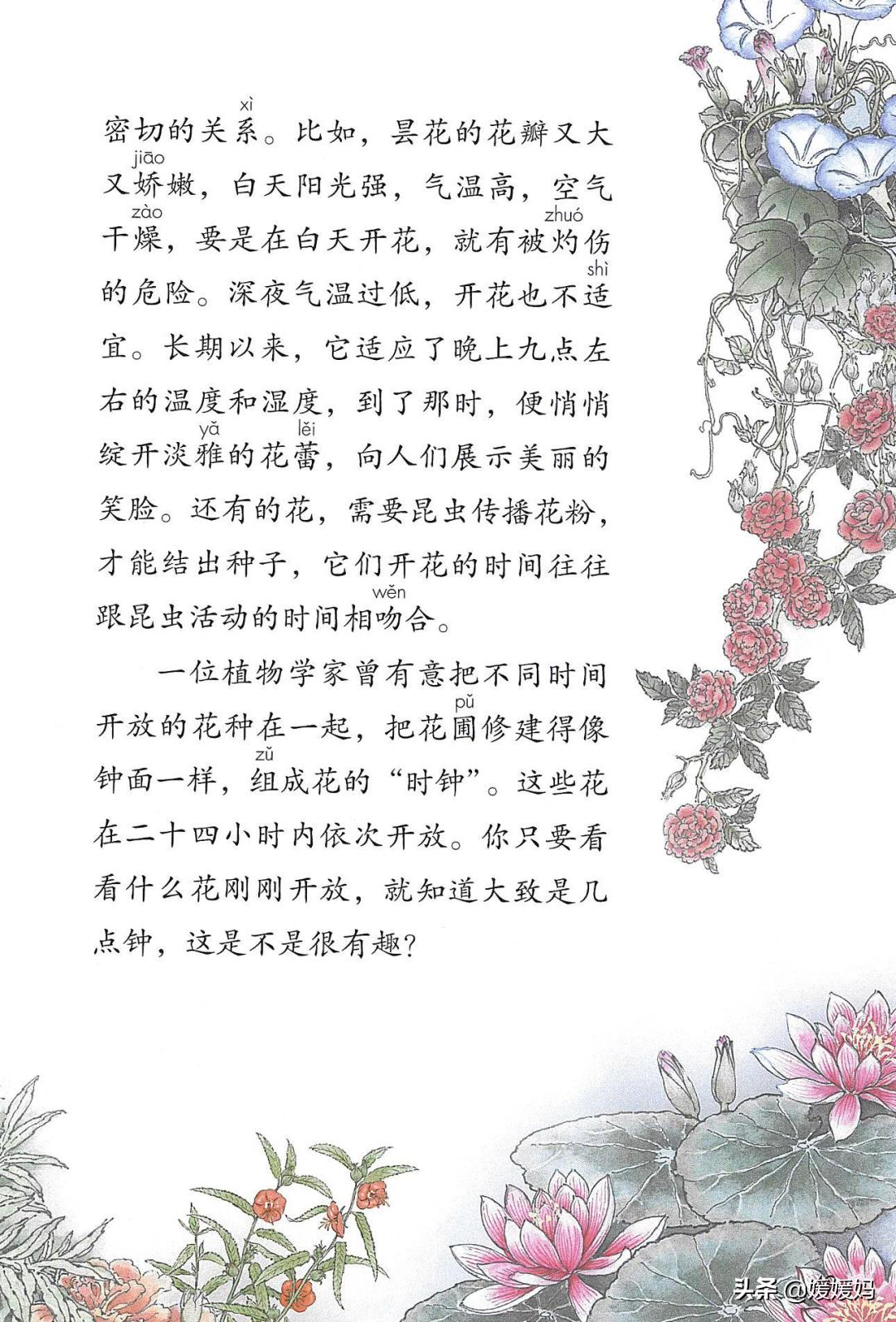 人教版三年级下册语文课本知识点,三年级语文下册课本66页续编故事