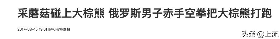 为啥俄罗斯大汉总是背着老婆钻树林？