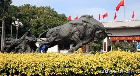 深圳制造畅销全球,深圳制造精品