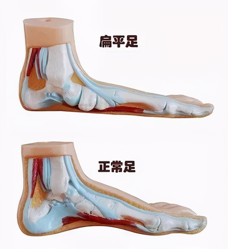 征兵体检工作过程中有哪些问题,征兵体检工作具体要求