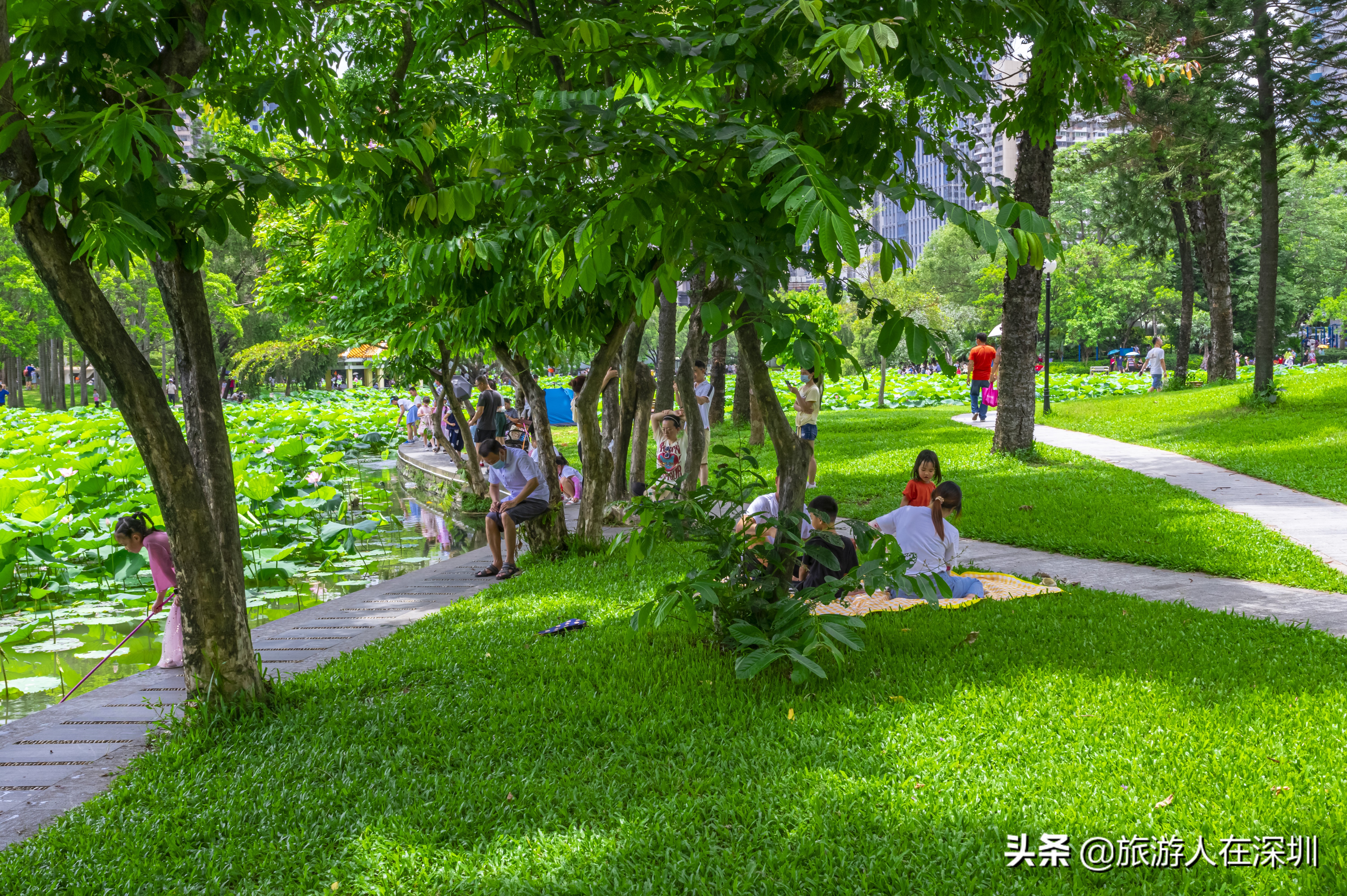 实拍深圳洪湖公园,深圳洪湖公园游玩攻略图