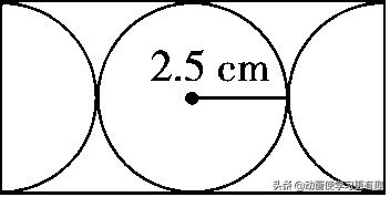 人教版六年级数学上册圆单元测试,六年级上册数学圆周长测试题