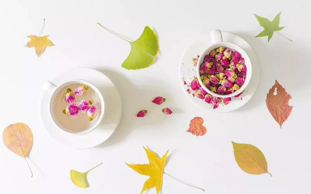 绮ゅ紡鏃╄尪鏂扮枂,鏂扮枂鐗硅壊鏃╄尪