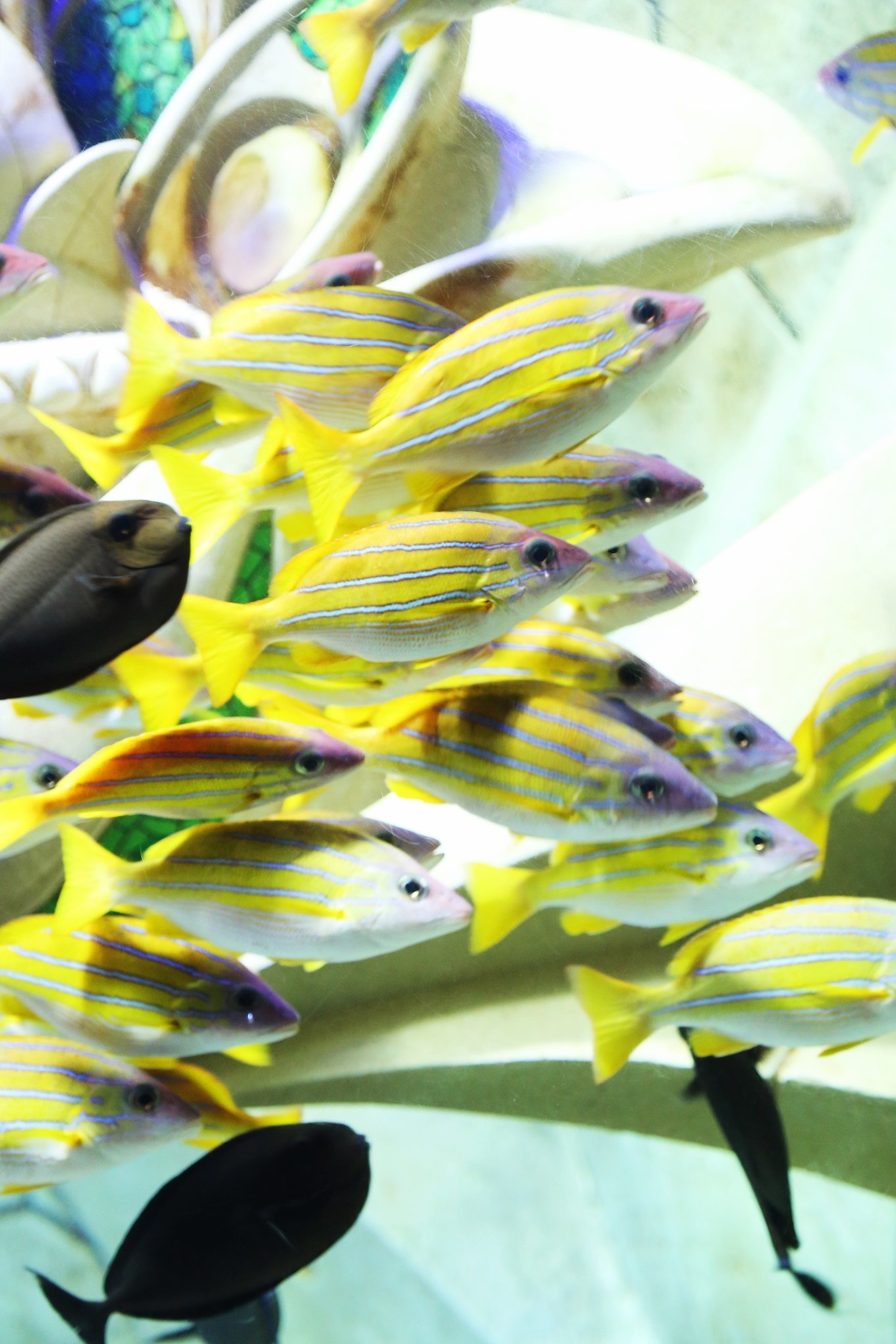 三亚自由行5天4晚亲子游攻略,寒假三亚5天4晚3人亲子游团购