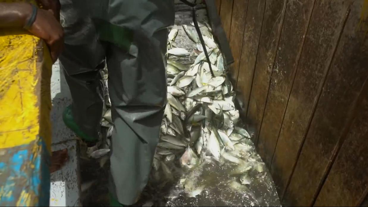 非洲小哥淘来法国二手车开出租，280公里只要47元，但要开12小时