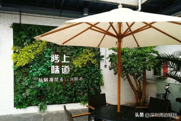 深圳地铁三号线沿途美景与美食,深圳9号线哪个地铁站有美食