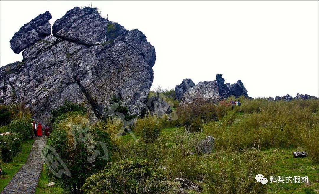 自驾车游遍中国之（一）——世界那么大，我想去神农架