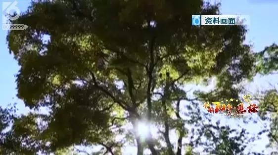 壮丽70年·见证|市城管局：当好春城“大管家”城市管理更高效