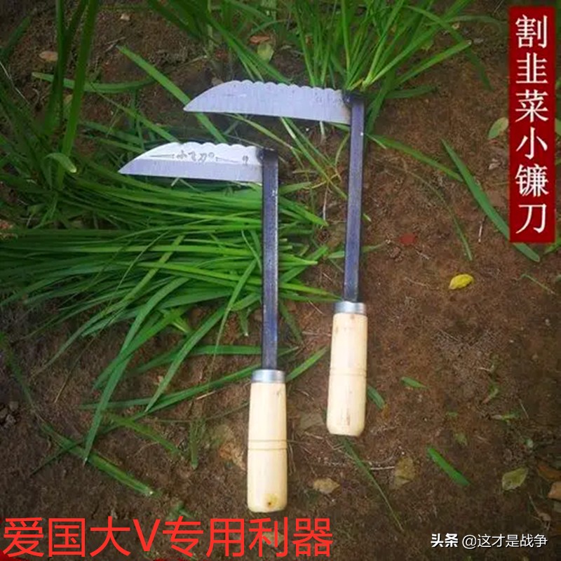 醒醒吧！别在被“爱国大V”和他们的“爱国生意”割韭菜了