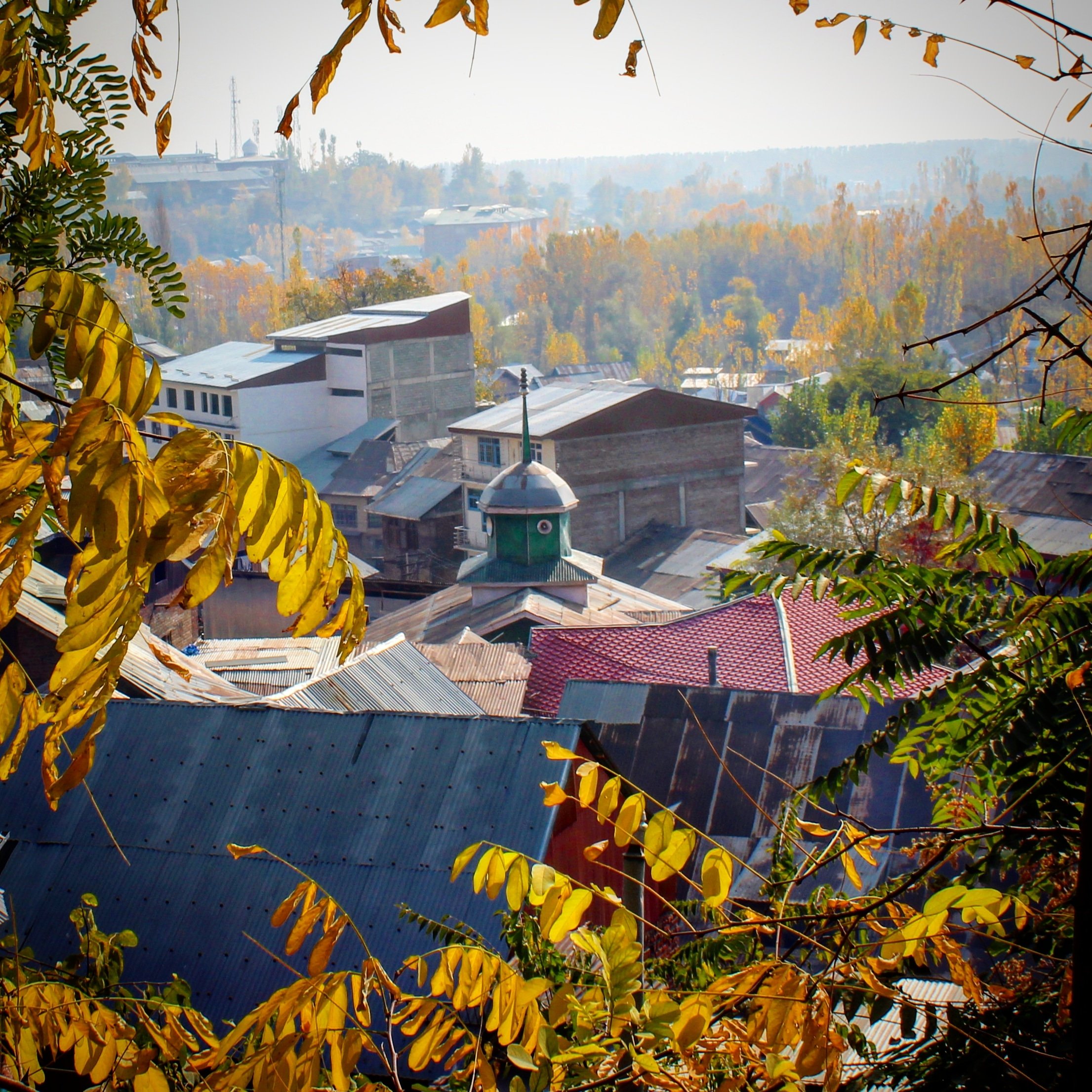 印度是什么社会制度,印度是五常吗