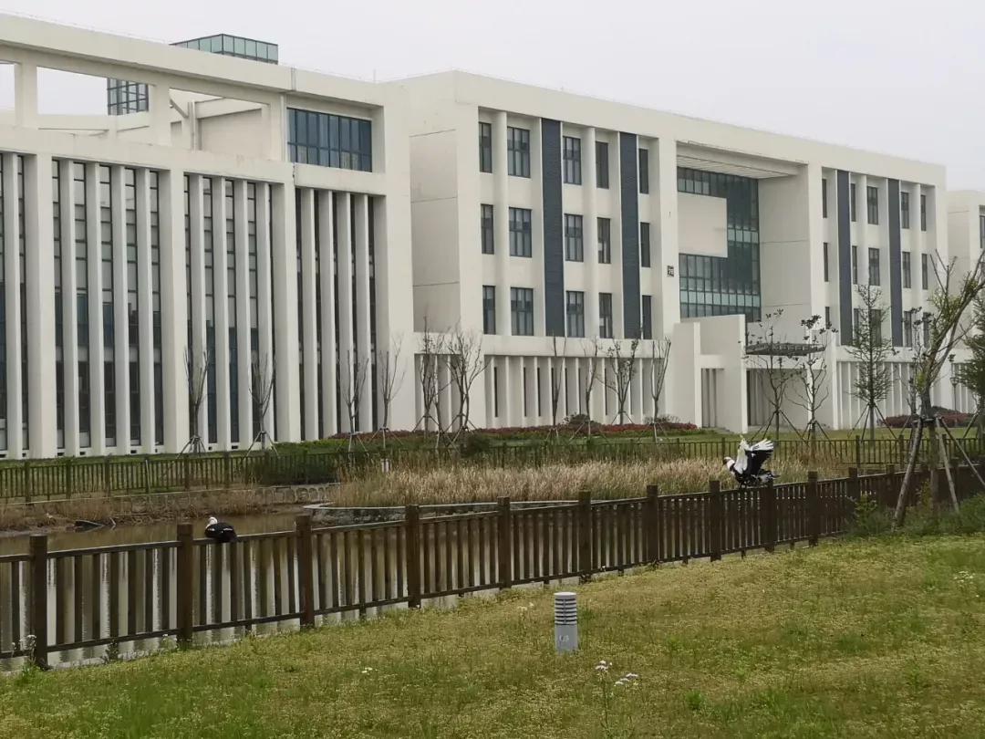 南通大学杏林学院多大面积,南通大学杏林学院排名