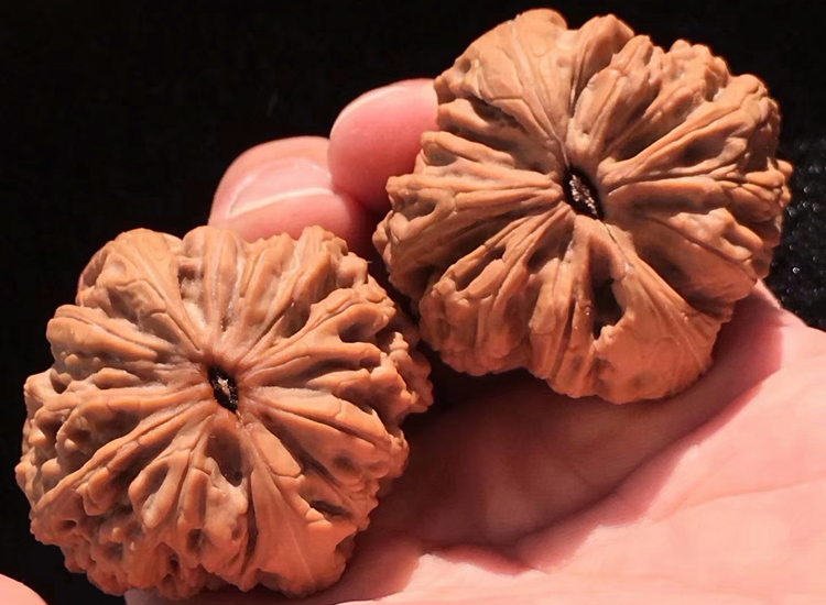 文玩核桃该不该封脐,核桃如何用绿松石封脐