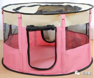 如何领取一只猫咪,如何获得一只猫咪