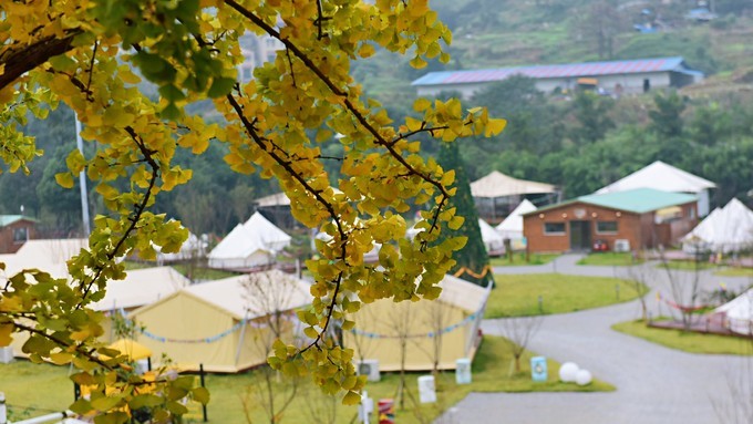 重庆甘溪网红打卡地,打卡网红地重庆海棠溪