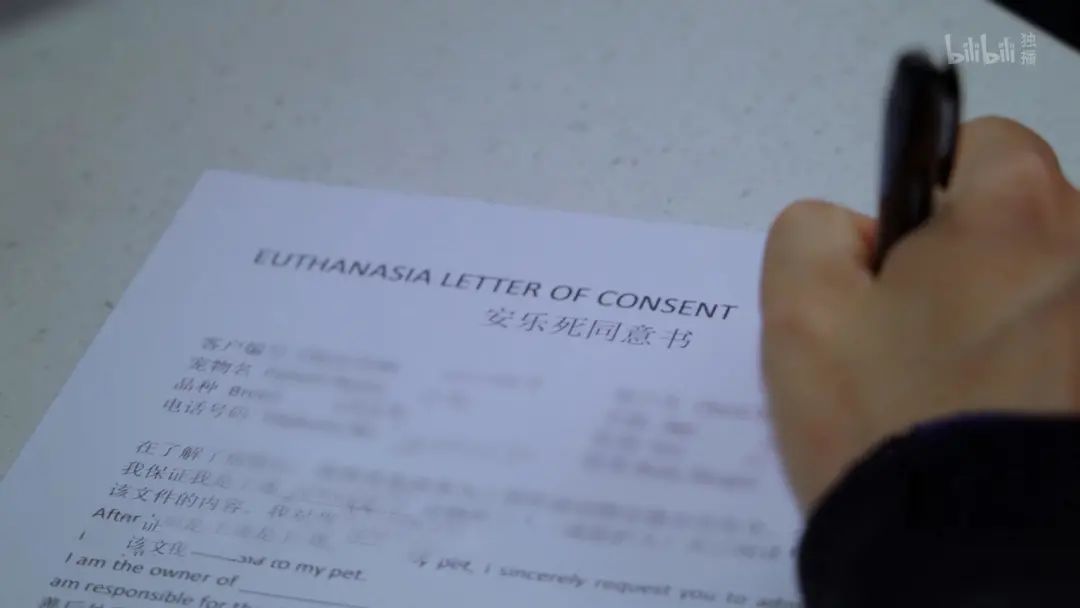 b站高分历史纪录片,2分钟一集的b站纪录片