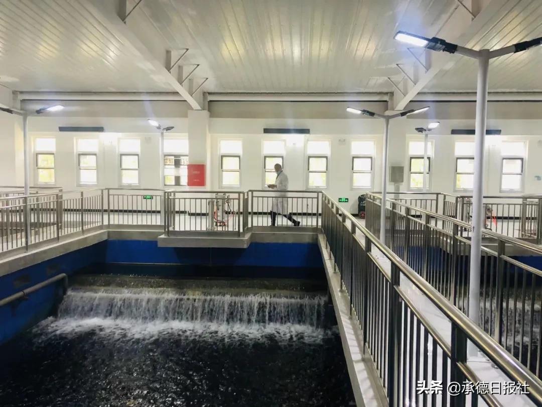 涓涓清流润紫塞——承德水务集团圆满完成水源地迁建工作纪实