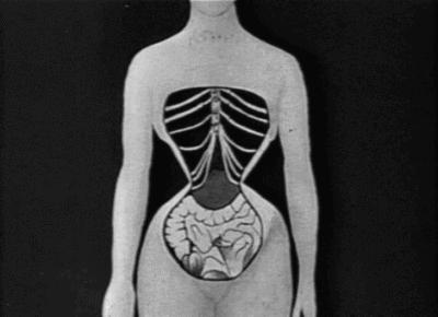 戴束腰子宫下垂,网红束腰导致内脏下垂