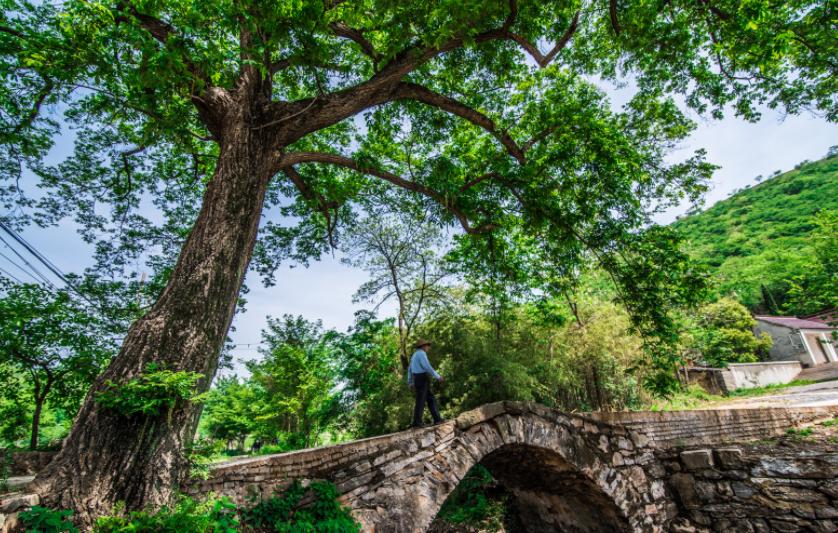 六衖村石头部落照片,六衖村石头部落攻略