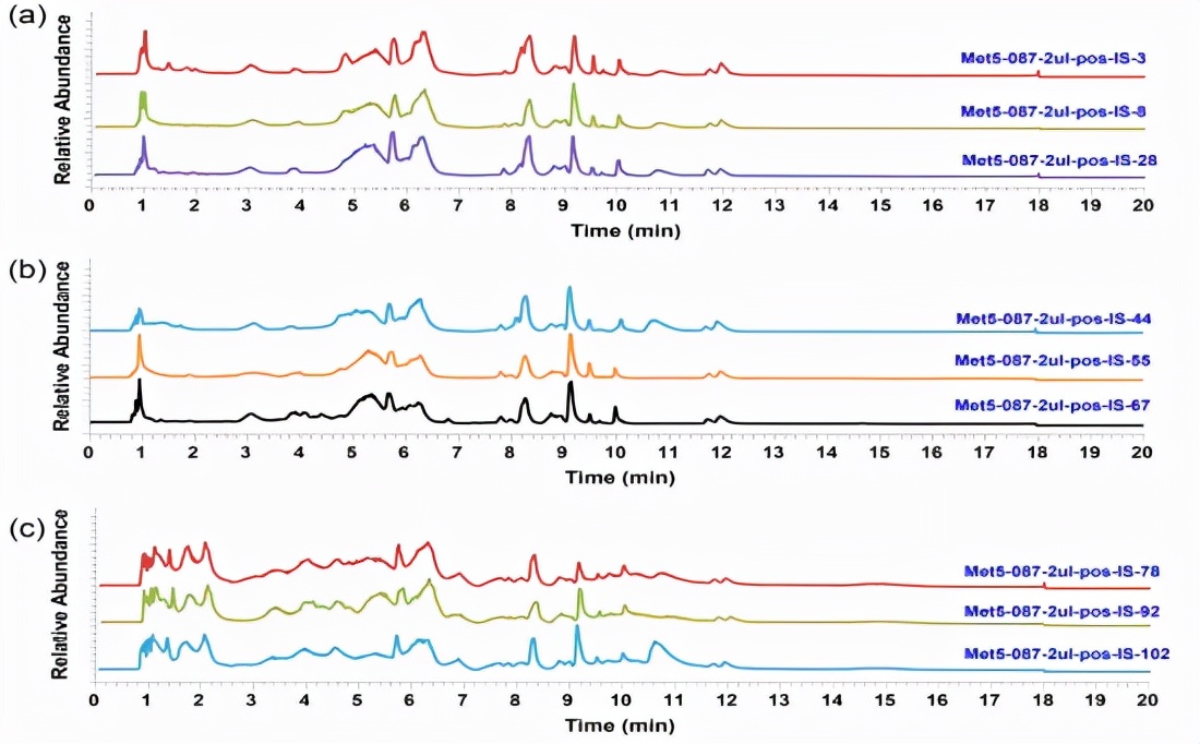 呼吸道病毒感染症状和治疗,cap感染