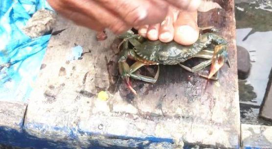 看看印度人是怎么吃方便面的,看看印度人是怎么吃的