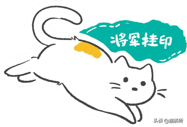 古代人如何称呼不同毛色的猫咪？