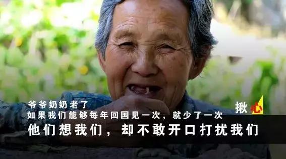 挣多挣少你往回走,在国外打拼的华人真的不容易