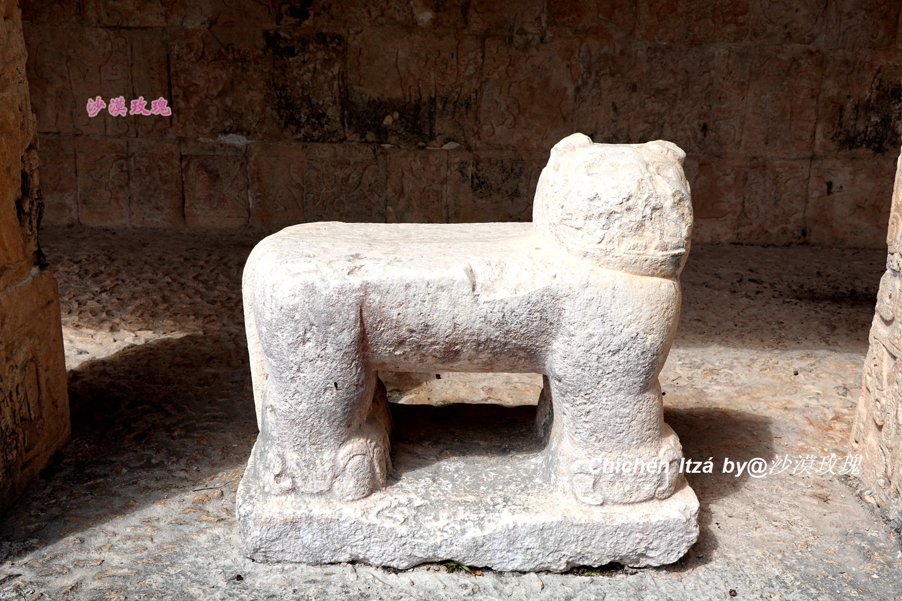 最血腥的一场足球赛,玛雅人的足球