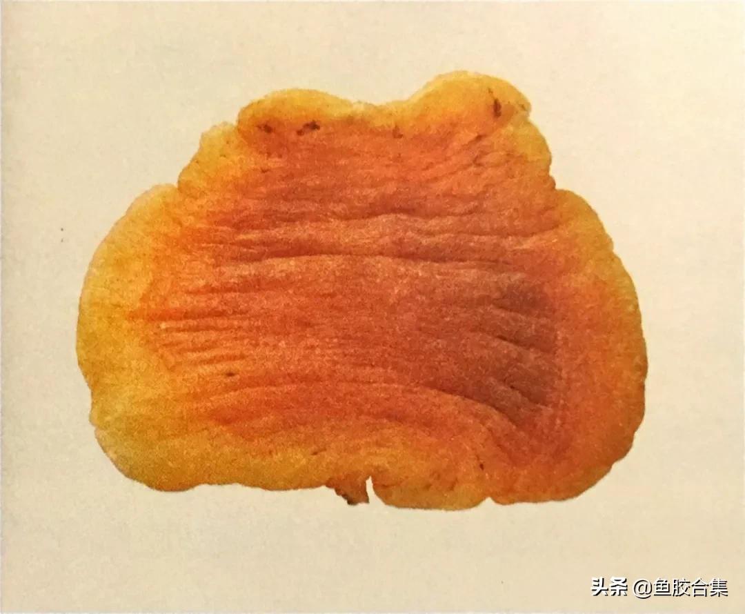 赤嘴鳘鱼鱼胶的功效和作用,赤嘴鱼胶的功效测评