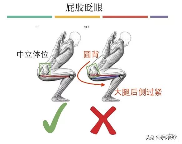 「干货」30天深蹲训练计划