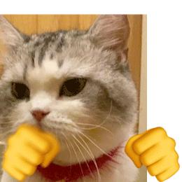 沙雕乐园冰雕大世界,沙雕乐园秦皇岛