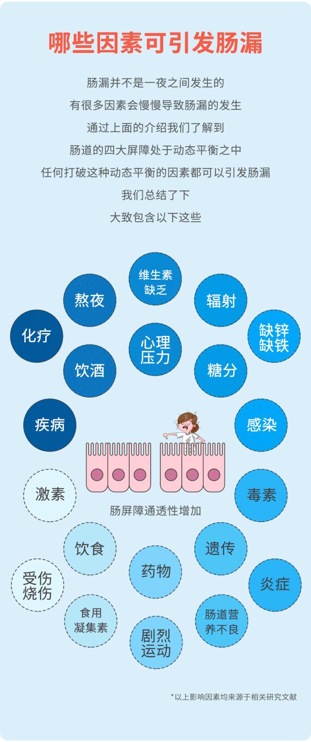 肠画短说：肠漏？它和我们的大多数疾病相关，现在了解还不晚