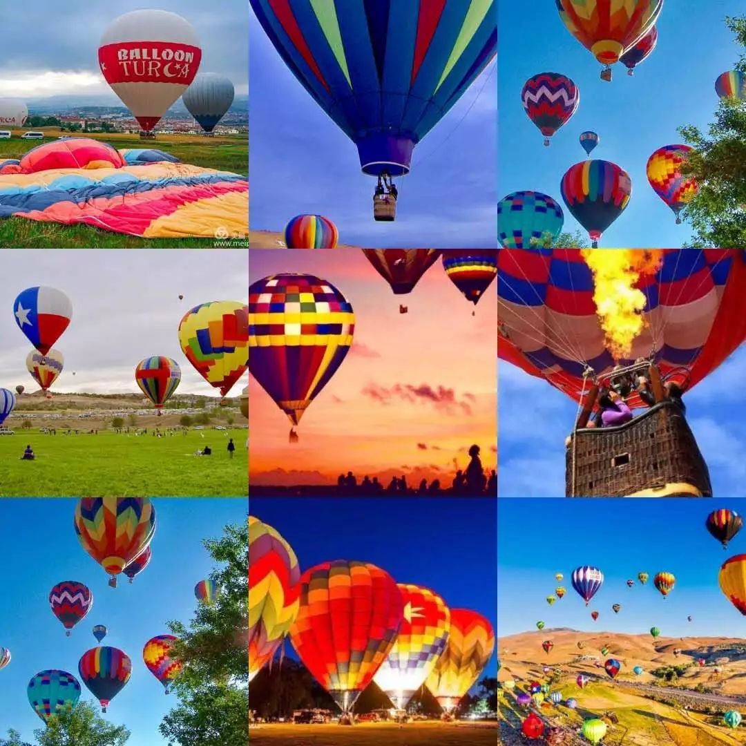 紫薇园宿州露营音乐节,中华紫薇园露营