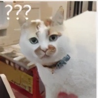 俩个月极速九炸，详细复盘PTE大神超凡进阶之路